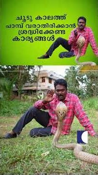 ചൂടു കാലത്ത് പാമ്പ് വരാതിരിക്കാൻ ശ്രദ്ധിക്കേണ്ട കാര്യങ്ങൾ #snakemaster #vavasuresh