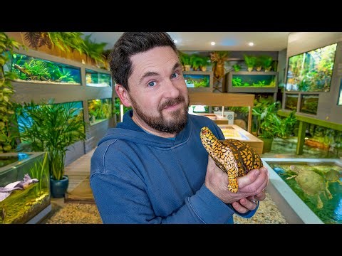 Private Tour of Garden State Tortoise's Indoor Home Turtle Zoo!