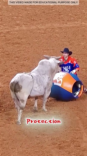 Cowboy Challenged The Bull 😱
