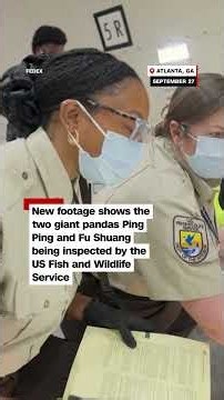 The two giant pandas arrive at zoo Atlanta