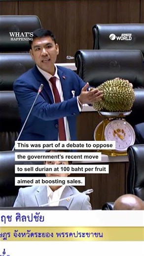Durians appear during House debate on govt’s controversial sales drive