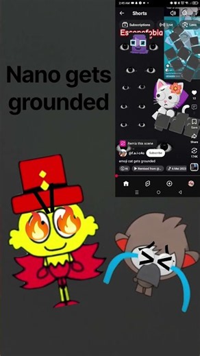 nano gets grounded