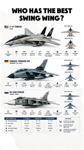 F-14 vs Tornado vs Su-24: Who Has the Best Swing Wing?