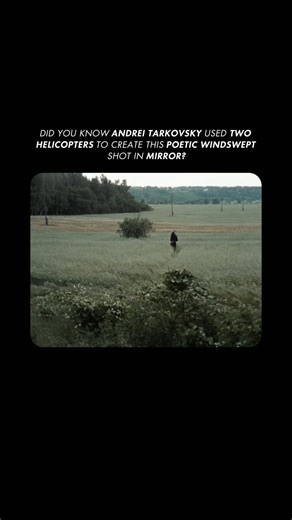 Did you know Andrei Tarkovsky used two helicopters to create this poetic shot in Mirror?