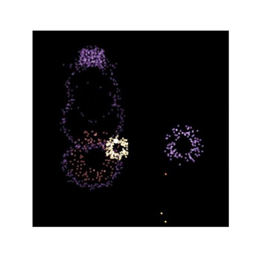 Firework Symphony (1)