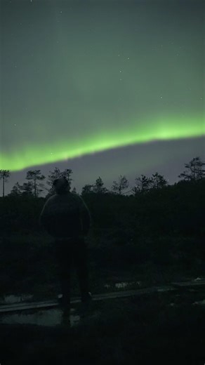 Real‑Time Northern Lights Over Kurjenrahka Wetlands | Finland
