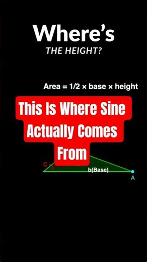 Why Sine Exists (And Your Teacher Never Said This🤯)