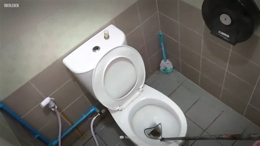Er setzte sich auf die Toilette - dann biss ihn ein Python zu