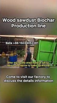 Wood Sawdust Biochar Reactor Carbon Credits Charcoal Making Machine Continuous Carbonization Furnace