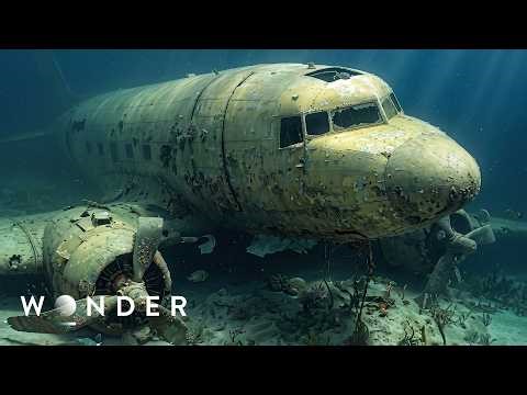 The Truth About The Bermuda Triangle