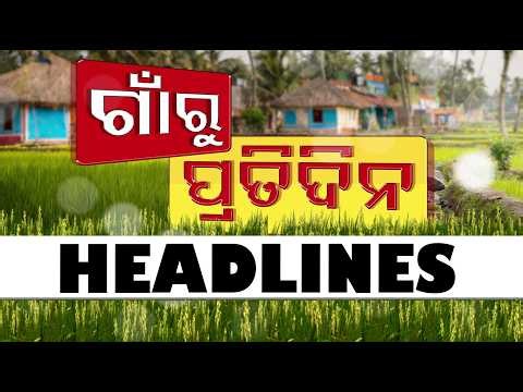 8PM Headlines | 24th May 2026 | Odisha TV | OTV