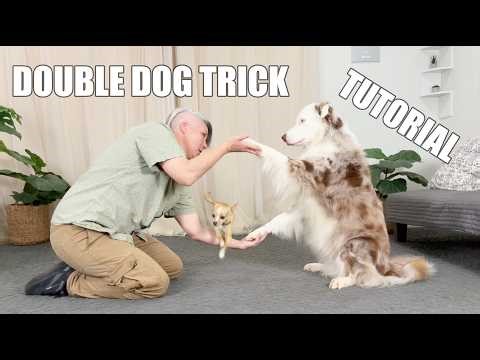 Splash and Tug's Double Dog Trick Tutorial