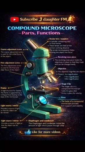 Compound Microscope Parts & Functions Explained |Objective, Eyepiece #biology #science|J Daughter FM