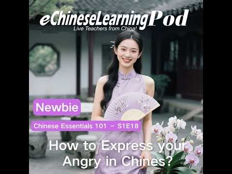 Newbie | Chinese Essentials 101: How to Express your Angry in Chines?