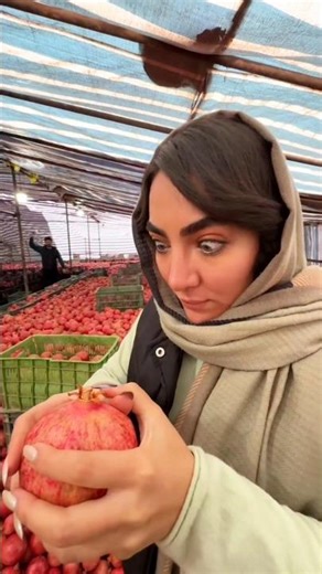 This pomegranate turned out to be really ripe |#shorts