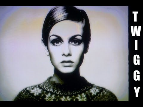 T W I G G Y ~ I n * F O C U S ~