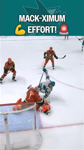 Celebrini doing it ALL! 🦈🦈🦈