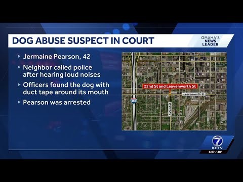 Omaha man arrested in alleged animal cruelty case