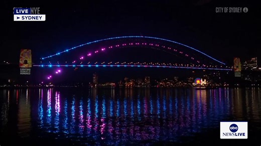 Happy New Year! Enjoy fireworks on the hour as the world rings in 2026. | ABC News