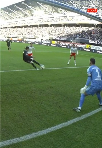 What a reflex save 🥵 #Bundesliga #fussball #paderborn #hsv #Matchday7 | reflex