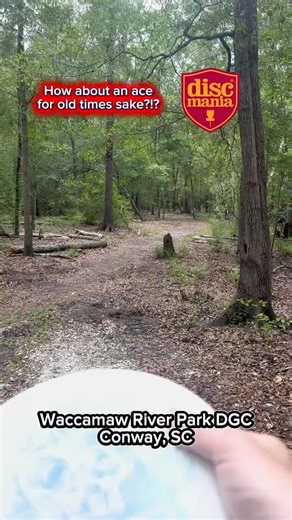 Disc Golf Ace Run at Waccamaw River Park Discmania Exo Hard Link on Day 2,243 of everyday disc golf