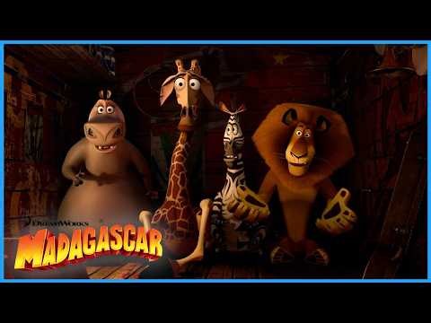 The Gang Go Undercover🤹‍♂️🎪 | DreamWorks Madagascar