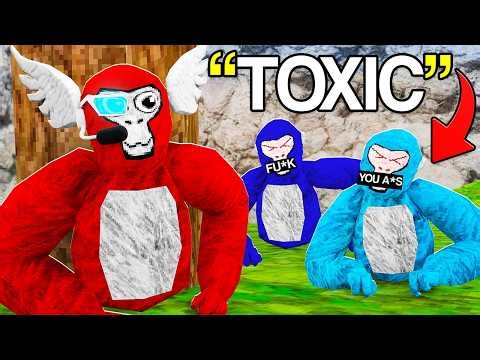 I Was HIRED To Beat TOXIC PLAYERS In Gorilla Tag...