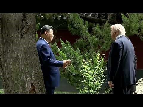Trump and Xi enjoy rare Zhongnanhai garden tour
