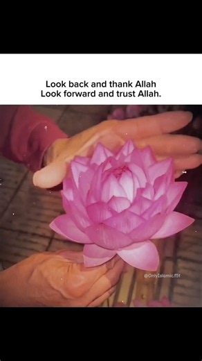 Look back and Look Forward #islam #reminder #islamicvideo #deen #shortsfeed #viralshorts #ytshorts