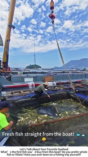 Unloading the Day's Catch – Fishing Boat Returns to Port 🎣