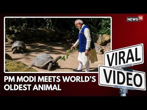PM Narendra Modi Meets World's Oldest Living Land Animal in Seychelles | PM Modi News | N18V