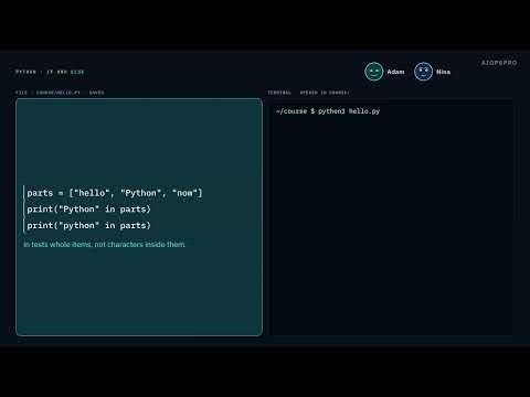 Python Lesson 6: if, elif, else, and Filtering a List