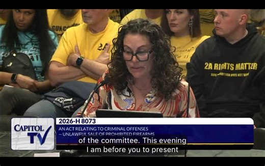 WATCH: Far-Left Blue State Rep Pushes Law Change Allowing Government To Use "Police Power" To Confiscate Firearms From Law-Abiding Gun Owners - The American Tribune.com