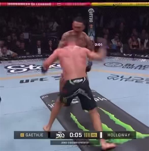 Top Best Knockouts in UFC History