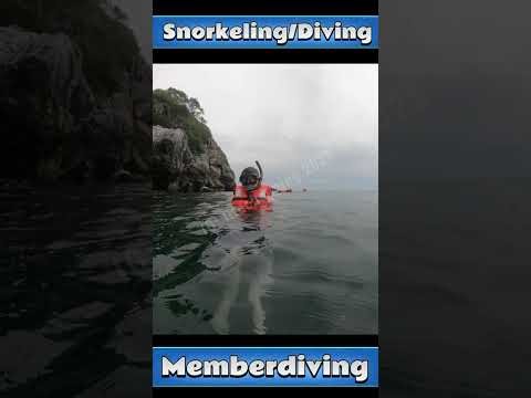 Snorkeling & Diving Trip Koh Samui 🌴🐠 #snorkeling #diving #kohsamui #kohsamuithailand