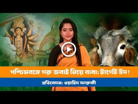 বিজেপির নয়া আইন: গরু নিয়ে গড়াগড়ি! BD VIEWS । BJP । Cow Law । West Bengal