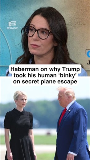 Why Trump took his HUMAN 'BINKY' on secret plane escape: NYT WH correspondent