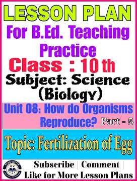Class 10 Science Lesson Plan | Unit 08: How do Organisms Reproduce? | Fertilization of Egg | B.Ed.