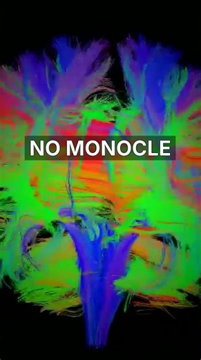 Your Memories Are Lying to You — The Mandela Effect 🧠