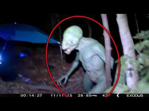 These Terrifying Creatures Were Locked Away For Years!