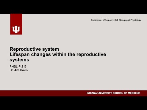 PHSL-P 215 - Reproductive system - Lifespan changes