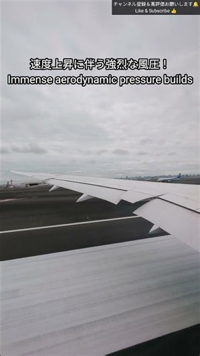 ​【一番の働き者】B787-10 離陸時、翼のここ見て！風圧と油圧の戦い18秒 B787-10 Takeoff Flaperon Movement at Haneda RWY05 #shorts