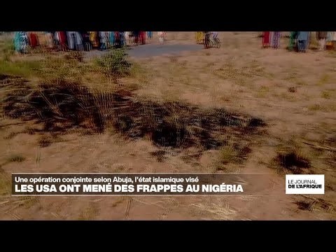 Frappe des Etats-Unis au Nigéria : une opération conjointe selon Abuja • FRANCE 24