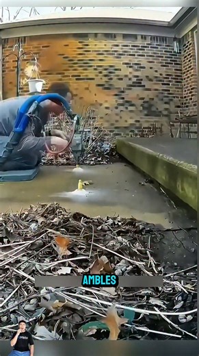 Concrete Slab Repair Using Expanding Foam: A Smart and Fast Solution 😱 #ConcreteRepair #ExpandingFoam #SmartConstruction #HomeImprovement | INdra Asm