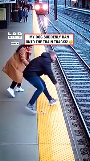 My dog got on the tracks when a train was coming 😱🫣 | LADbible
