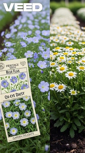 ♈️March Madness: 15🪷Seeds🪻to Plant Now for a Summer Flower🌺🌸🌻Explosion💥💐