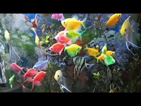 The ECQ BLOOMS garden is live!