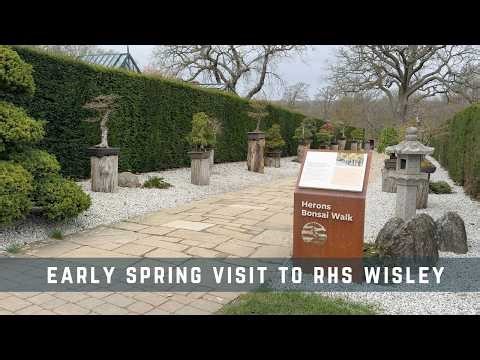 Early Spring Visit to RHS Wisley