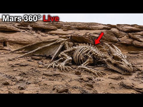 Mars Perseverance Rover Spotted Breathtaking 4k Panorama of Mars