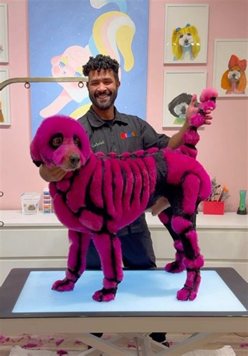 Kona Undead Creative Dog Grooming: How the Look Was Created